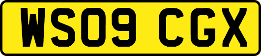 WS09CGX