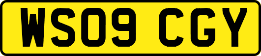 WS09CGY