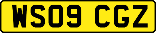 WS09CGZ