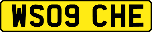 WS09CHE