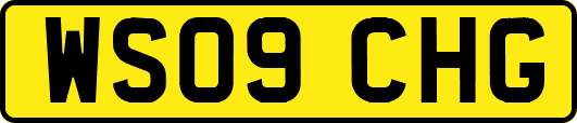WS09CHG