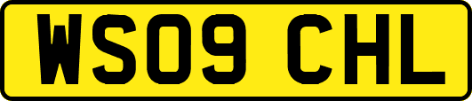WS09CHL