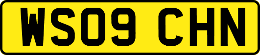 WS09CHN