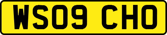WS09CHO