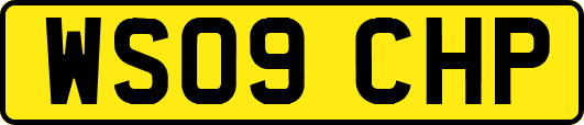 WS09CHP