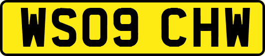 WS09CHW