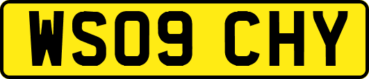 WS09CHY