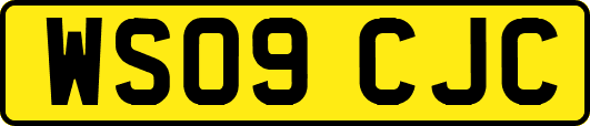WS09CJC
