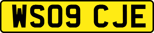 WS09CJE