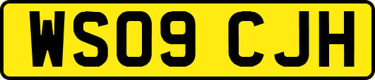 WS09CJH