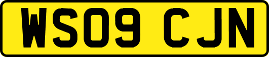 WS09CJN