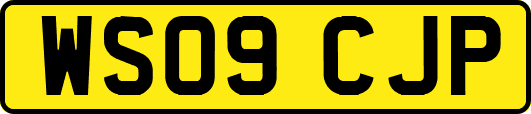 WS09CJP