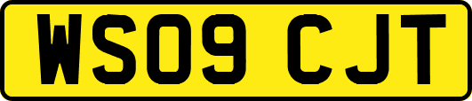 WS09CJT