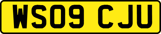 WS09CJU
