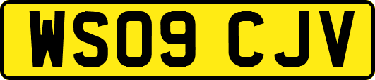 WS09CJV