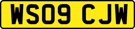 WS09CJW