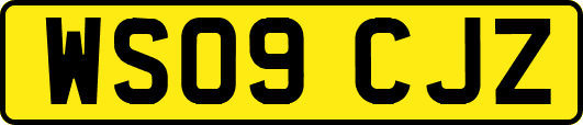 WS09CJZ