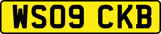 WS09CKB