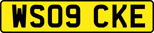 WS09CKE