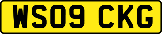 WS09CKG