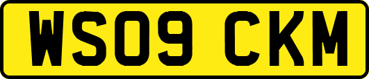 WS09CKM