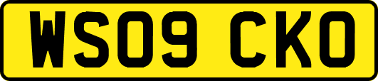 WS09CKO