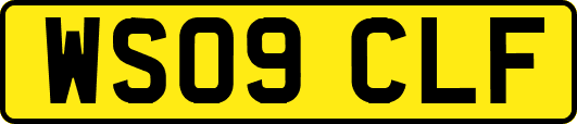 WS09CLF