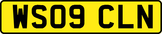 WS09CLN