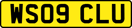 WS09CLU