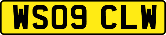 WS09CLW