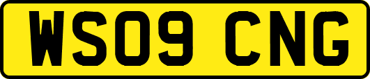 WS09CNG