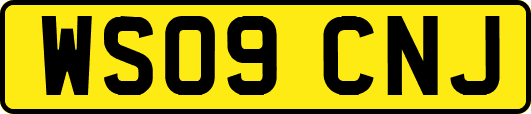 WS09CNJ