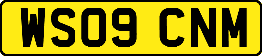 WS09CNM