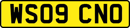 WS09CNO