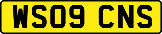 WS09CNS