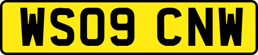 WS09CNW