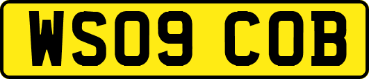 WS09COB