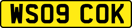 WS09COK