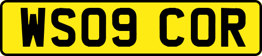 WS09COR