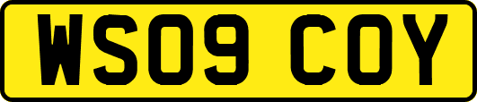 WS09COY