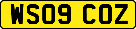 WS09COZ