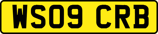 WS09CRB