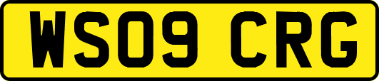 WS09CRG