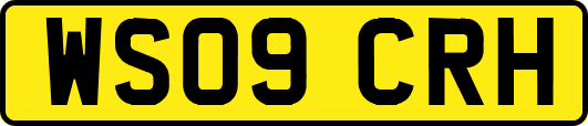 WS09CRH