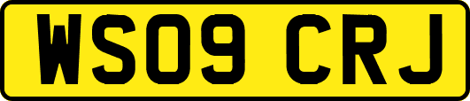 WS09CRJ