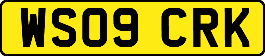 WS09CRK