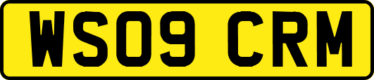 WS09CRM
