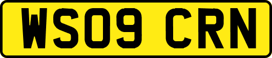 WS09CRN