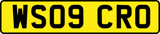 WS09CRO