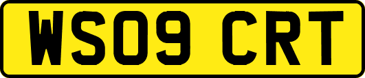 WS09CRT